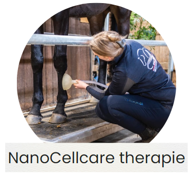 NanoCellcare therapie